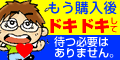 �A�_���g�O�b�Y�̌����|�[�g�E�����摜�E�����L�x�Ɍ��J���Ă����l�̊ߋ�ʔ̃V���b�v�u���������SKIYO�A�_���g�O�b�Y�ʔ̐��X�v